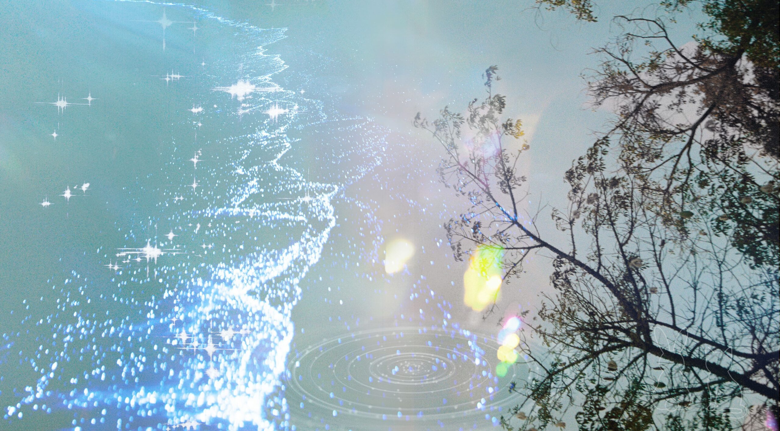 The Quantum Garden｜量子の庭